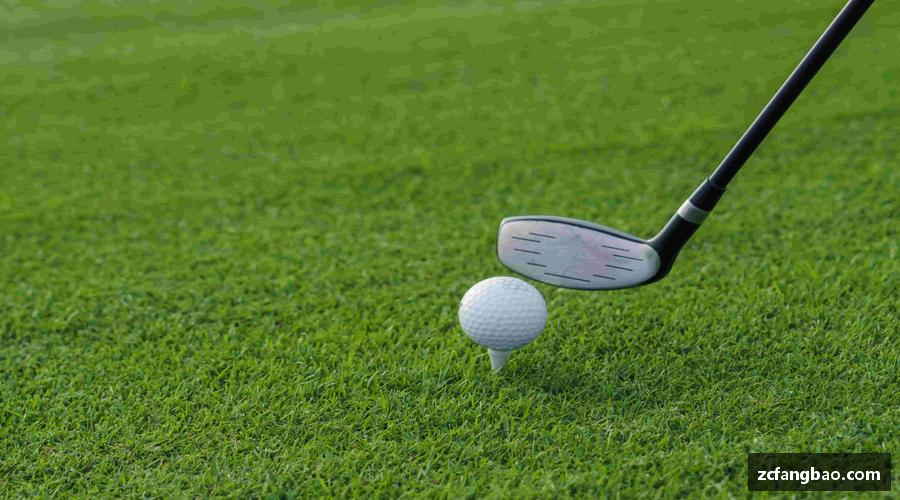 悟空体育平台拼搏赢得未来，执着成就梦想